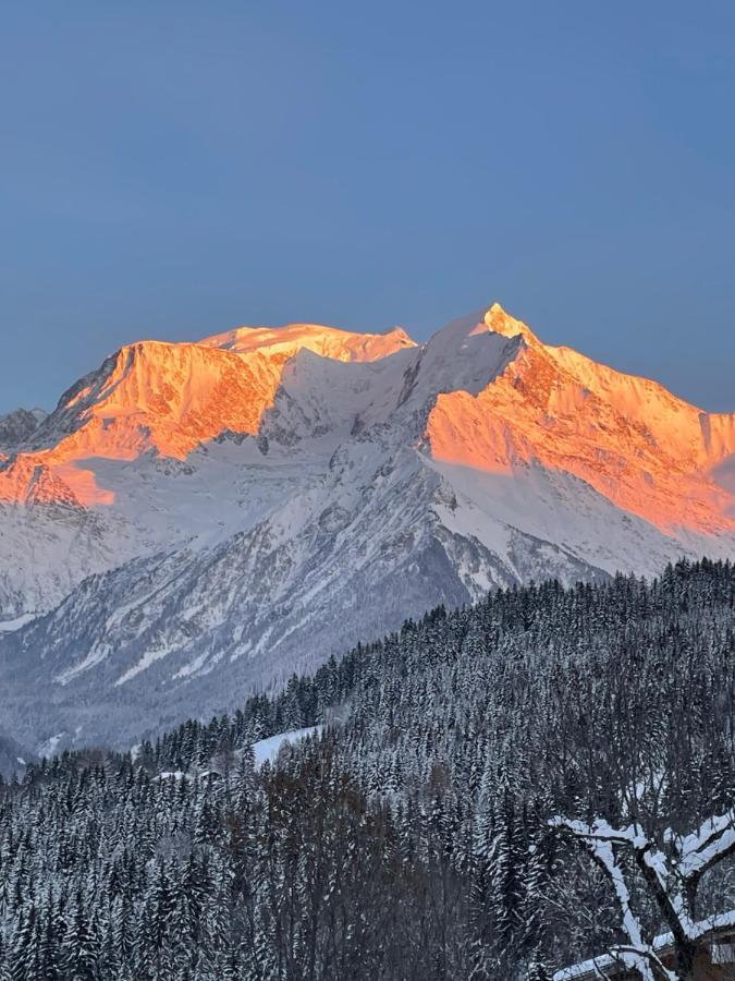 Vue Splendide Mont Blanc Apartment Saint-Gervais-les-Bains Bagian luar foto